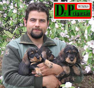 Reglamento del Registro de Razas Caninas (RRC)